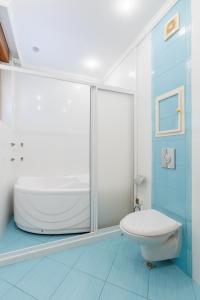 索佐波尔德里亚佈公寓的一间带卫生间和玻璃淋浴间的浴室