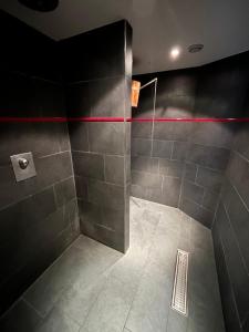 洛伊克巴德洛伊克巴德温泉阿尔法苏皮尔酒店的一间带红色线淋浴的浴室