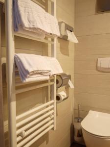 灵斯海姆Hotel Sleep & Dream Nähe Europa Park und Rulantica的一间带卫生间和毛巾的小浴室
