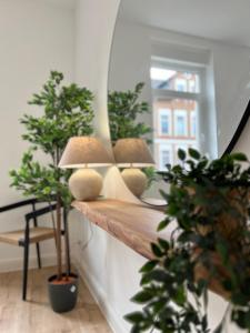 希尔德斯海姆FLATLIGHT - Stylish apartment - Kitchen - Parking - Netflix的植物间架子上的两盏灯