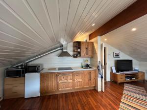 GibostadVisit Leif at Senja的一间带天花板、冰箱和电视的厨房