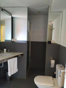 阿拉力兹Pensión rural Pallabarro的一间带卫生间、水槽和镜子的浴室