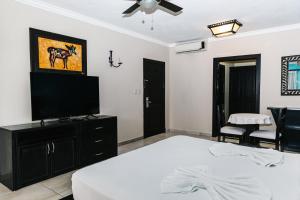 蓬塔卡纳Hotel Brisa的一间卧室配有一张床和一台平面电视