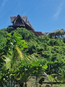 MtendeMONKEY MOUNTAIN LODGE的树上山顶的房子