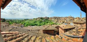 锡耶纳I Merli di Ada的享有拥有建筑和屋顶的城镇美景