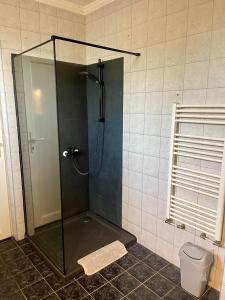韦切什Airport Jazmin Guesthouse的浴室设有玻璃门淋浴和卫生间
