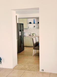 米克诺斯城米科诺斯索非亚简易别墅的厨房配有不锈钢冰箱和椅子
