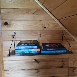 华沙Dream Forest Cabin的书架上堆着的书