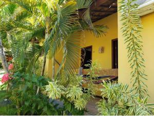 因巴塞Pousada Bichelenga的棕榈树和黄色建筑的房间