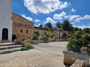 陶里萨诺Masseria Bianca的一座种植了植物的古老砖砌建筑的庭院