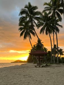 太平洋港Villa Serenity welcomes you的海滩上的棕榈树群,日落