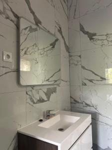 PlaqueCanafistra Prestige Villa的浴室设有白色水槽和镜子