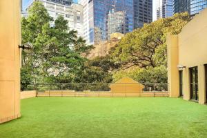 悉尼悉尼港环形码头万豪酒店的一座大院子,在城市里种着绿草