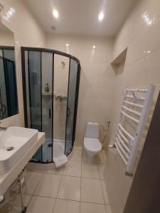 切霍齐内克Willa Vistula的带淋浴、卫生间和盥洗盆的浴室