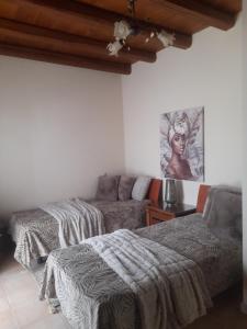 卡米拉日Villa archontiko的一间带两张床和一张沙发的客厅