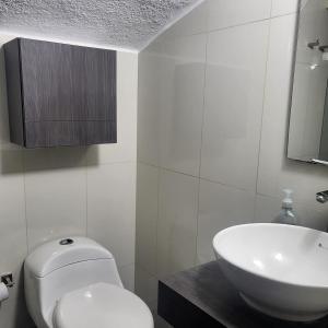马尼萨莱斯LA CASA DEL CABLE -Atractivo Único Sector Cable 104-的白色的浴室设有卫生间和水槽。