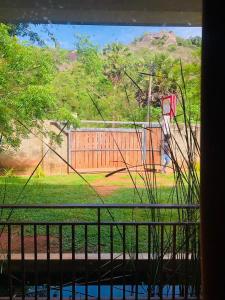 丹不拉Nature Rock Dambulla的从窗户可欣赏到篮球场的景色