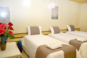 Domus Hotel Veneza Ipatinga客房内的一张或多张床位