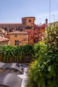 博洛尼亚Piazza Maggiore Santa Margherita b&b的阳台,后方有植物和建筑
