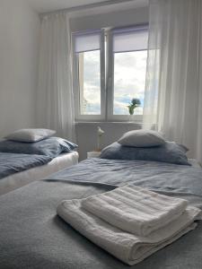 瓦乌布日赫Apartament Kasia的一间卧室设有两张床和窗户。