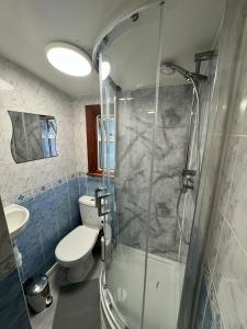 伦敦25 Minutes to Central London Rooms 35的带淋浴、卫生间和盥洗盆的浴室