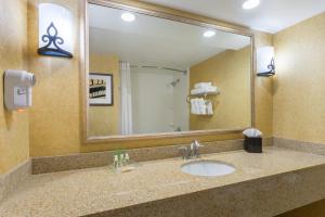 林夕昆高地Holiday Inn Baltimore BWI Airport, an IHG Hotel的一间带水槽和大镜子的浴室