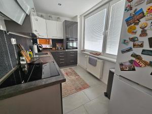 马汀Apartmán Pohoda的厨房配有冰箱和台面