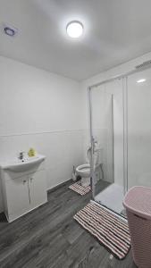 奥尔德伯里Double Bedroom with private bathroom and shared kitchen的一间带卫生间和水槽的浴室