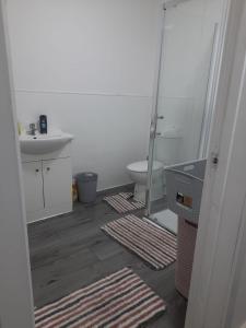 奥尔德伯里Double Bedroom with private bathroom and shared kitchen的一间带卫生间、水槽和镜子的浴室
