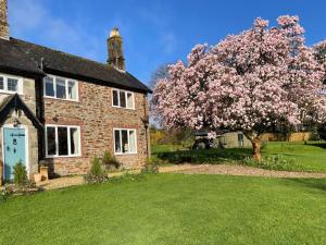 BickleighVictorian cottage overlooking the Plym Valley的院子里有花树的房子