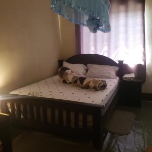 伊林加Safari Junction Backpackers hostel的卧室内的一张小床,设有窗户