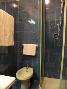 马津瓦久蕾酒店的蓝色瓷砖浴室设有卫生间和淋浴。