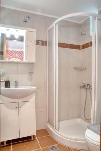 斯卡拉伯塔麦斯Ostria Hotel的带淋浴、盥洗盆和卫生间的浴室