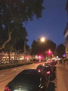 威斯巴登Paradiesisch Wohnen Wiesbaden的夜间停在街上的一排汽车