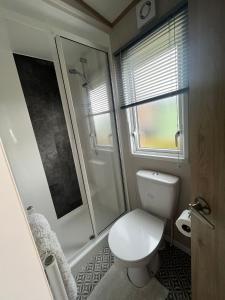达农The Roecliffe Sea View 9的一间带卫生间和淋浴的小浴室