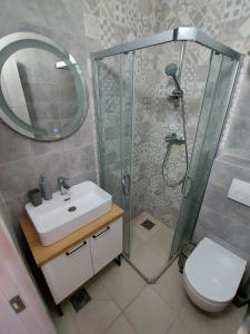 阿帕丁Apartments Marina的带淋浴、盥洗盆和卫生间的浴室