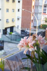 加拉加斯Apartamento Av Andres Bello的坐在窗台上的一群粉红色的花
