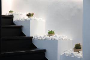 特罗佩阿B&B Sunlight Tropea的白色的楼梯,上面有岩石和仙人掌