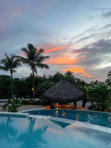 皮帕提堡拉戈阿酒店的一个带草棚和棕榈树的游泳池