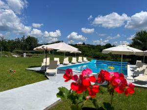 埃伦娜Guest House Gerasimovi的游泳池配有椅子、遮阳伞和红色鲜花