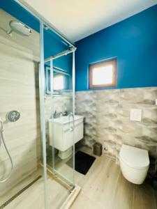科托尔Boka horizont的一间带卫生间和玻璃淋浴间的浴室