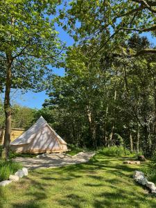 ChaleGlamping at Camp Corve的草木林地的帐篷