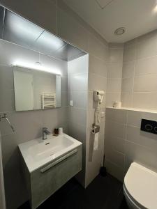 尼斯蓝色浪花酒店的一间带水槽、镜子和卫生间的浴室