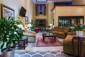 锡布灵Holiday Inn Express & Suites Sebring, an IHG Hotel的带沙发、桌子和植物的客厅