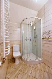 韦特利纳Gościniec Horb的带淋浴和卫生间的浴室