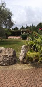 阿尔盖罗索瑞提纳别墅酒店的一座花园,两块大石头和一片草地