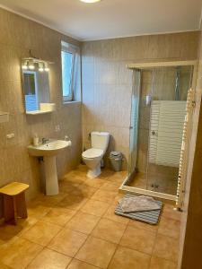 韦切什Airport Jazmin Guesthouse的浴室配有卫生间、盥洗盆和淋浴。