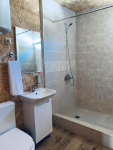 TsʼageriKorenishuli Veranda Wine Hotel的浴室配有卫生间、盥洗盆和淋浴。