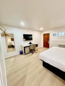 旧金山Nob Hill Motor Inn -Newly Updated Rooms!的一间卧室配有一张床、一张书桌和一台电视