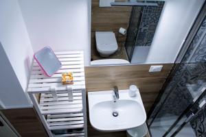 马瑞纳迪卡拉拉La Stella di Via Venezia的一间带水槽、卫生间和镜子的浴室